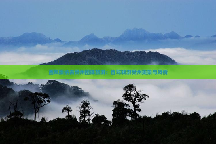 西双版纳去贵州团体旅游：自驾畅游贵州美景与风情
