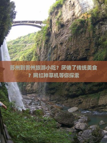 苏州到贵州旅游小吃？厌倦了传统美食？网红种草机等你探索