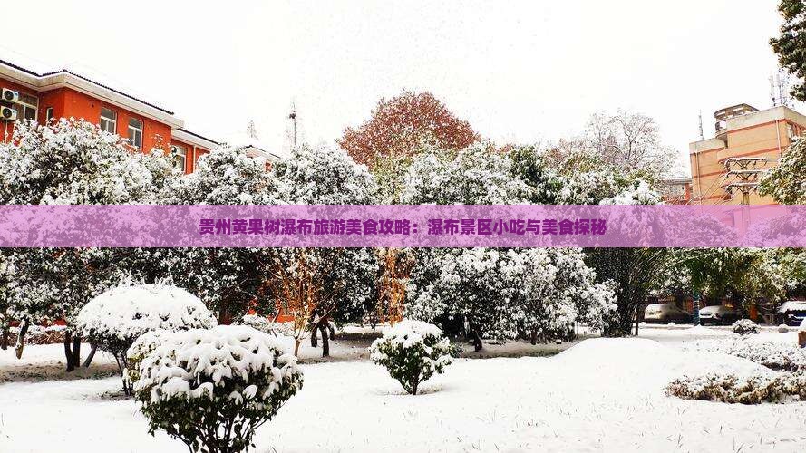 贵州黄果树瀑布旅游美食攻略：瀑布景区小吃与美食探秘