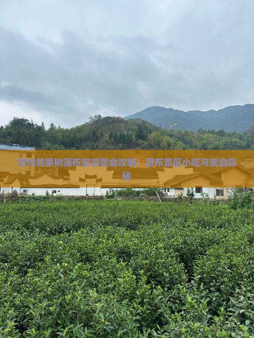 贵州黄果树瀑布旅游美食攻略：瀑布景区小吃与美食探秘