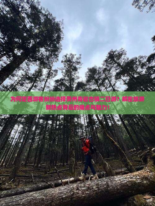 为何定西游客纷纷选择贵州青岩古镇二日游？解密旅游新热点背后的痛点与魅力！