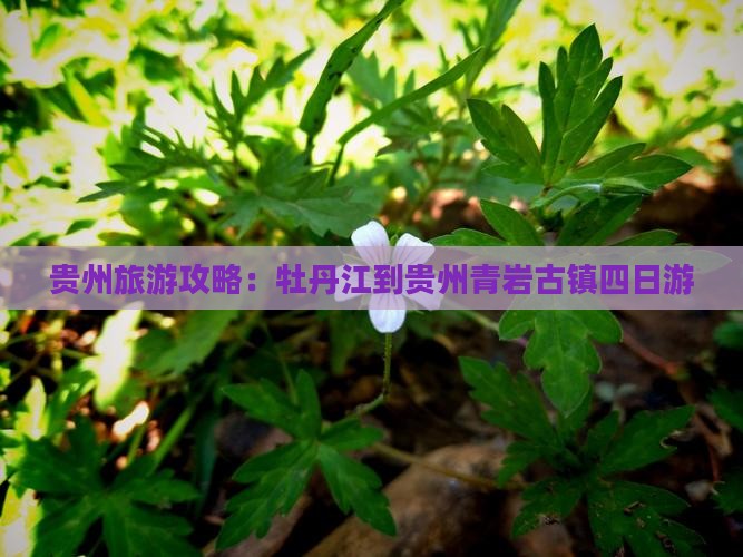 贵州旅游攻略：牡丹江到贵州青岩古镇四日游