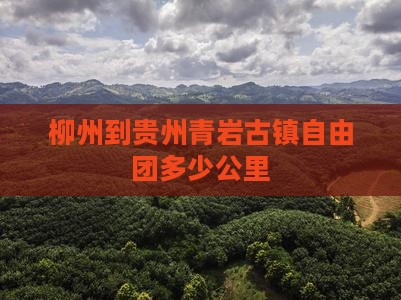 柳州到贵州青岩古镇自由团多少公里