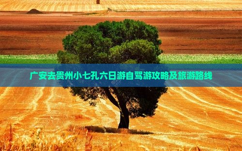 广安去贵州小七孔六日游自驾游攻略及旅游路线