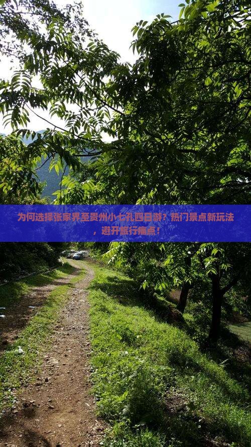 为何选择张家界至贵州小七孔四日游？热门景点新玩法，避开旅行痛点！