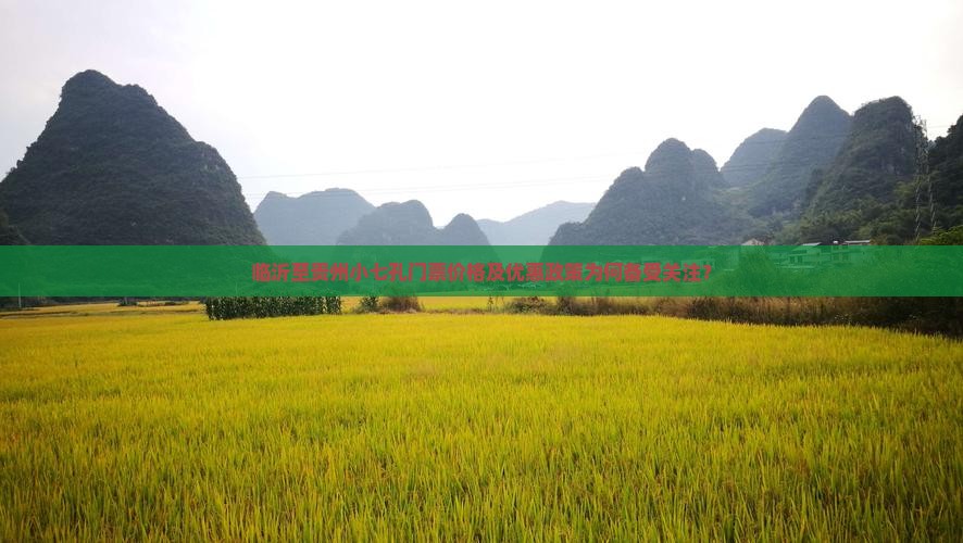 临沂至贵州小七孔门票价格及优惠政策为何备受关注？