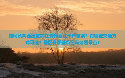 如何从鸡西出发前往贵州西江千户苗寨？有哪些交通方式可选？景区有哪些特色与必看景点？