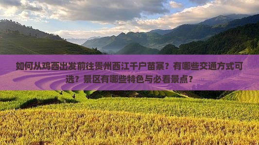 如何从鸡西出发前往贵州西江千户苗寨？有哪些交通方式可选？景区有哪些特色与必看景点？