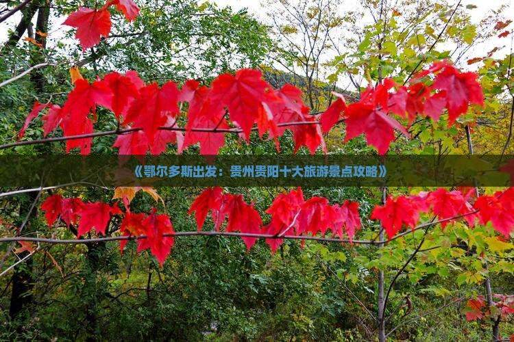 《鄂尔多斯出发：贵州贵阳十大旅游景点攻略》