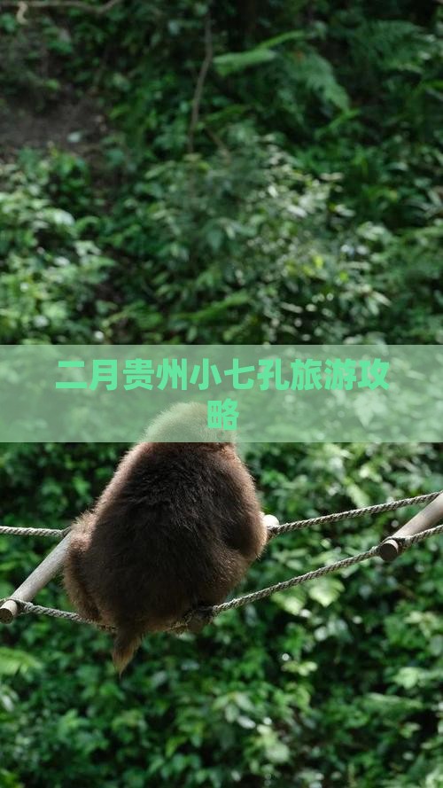 二月贵州小七孔旅游攻略