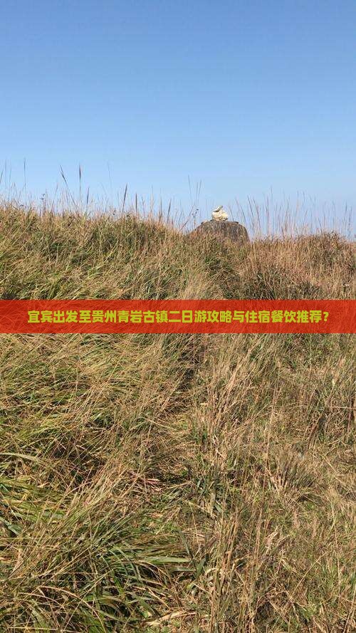 宜宾出发至贵州青岩古镇二日游攻略与住宿餐饮推荐？