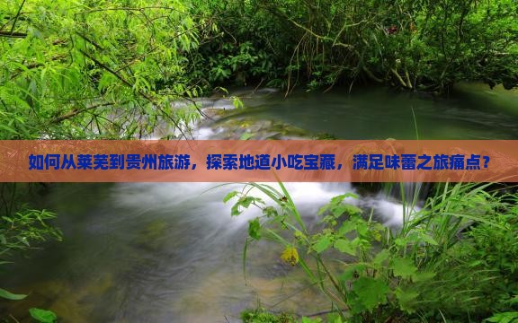 如何从莱芜到贵州旅游，探索地道小吃宝藏，满足味蕾之旅痛点？