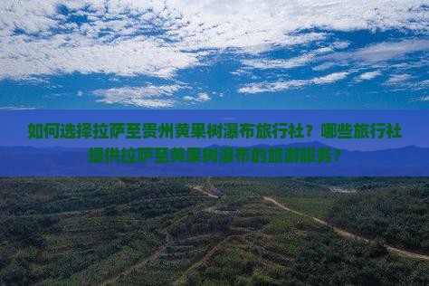 如何选择拉萨至贵州黄果树瀑布旅行社？哪些旅行社提供拉萨至黄果树瀑布的旅游服务？