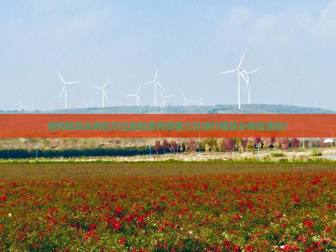 如何规划从阿拉尔出发的贵州贵阳七日游行程及必体验活动？