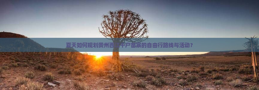 夏天如何规划贵州西江千户苗寨的自由行路线与活动？