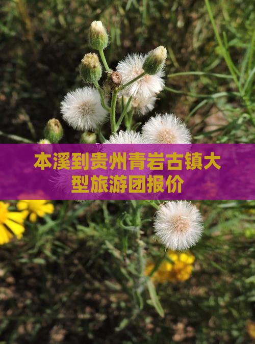 本溪到贵州青岩古镇大型旅游团报价