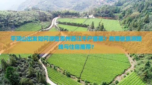 平顶山出发如何游览贵州西江千户苗寨？有哪些旅游路线与住宿推荐？