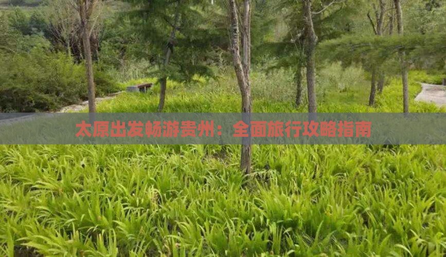 太原出发畅游贵州：全面旅行攻略指南