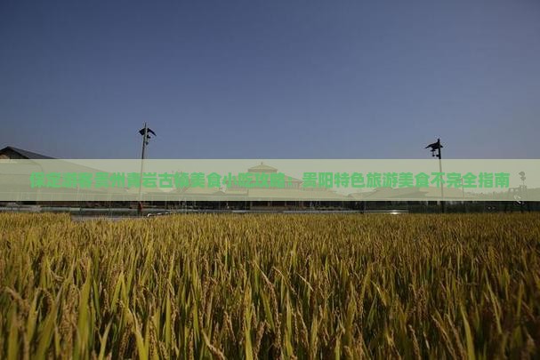 保定游客贵州青岩古镇美食小吃攻略：贵阳特色旅游美食不完全指南