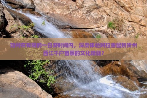 如何在有限的一日游时间内，深度体验阿拉善盟到贵州西江千户苗寨的文化精髓？