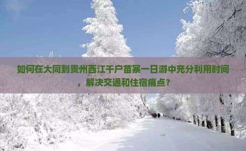 如何在大同到贵州西江千户苗寨一日游中充分利用时间，解决交通和住宿痛点？