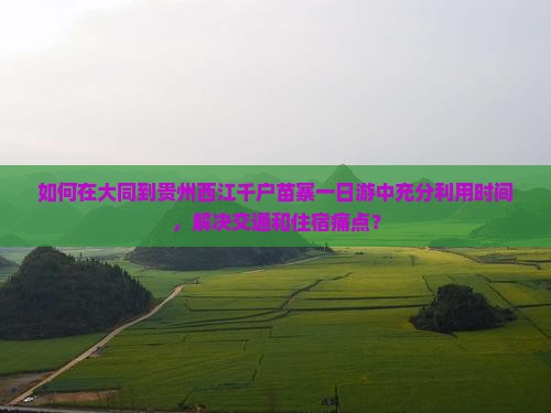 如何在大同到贵州西江千户苗寨一日游中充分利用时间，解决交通和住宿痛点？
