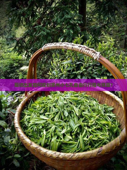 廊坊出发如何规划贵州小七孔自由行行程与预算？