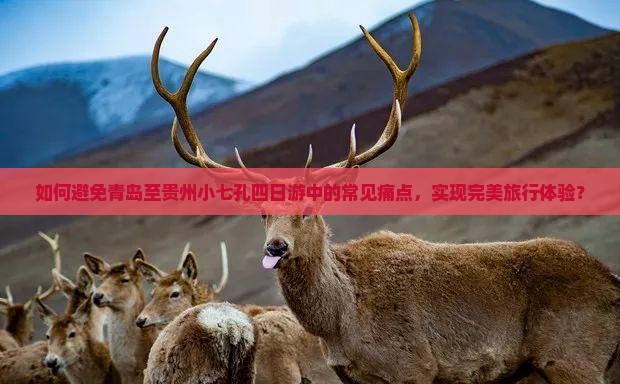 如何避免青岛至贵州小七孔四日游中的常见痛点，实现完美旅行体验？