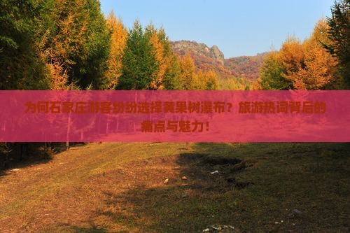 为何石家庄游客纷纷选择黄果树瀑布？旅游热词背后的痛点与魅力！