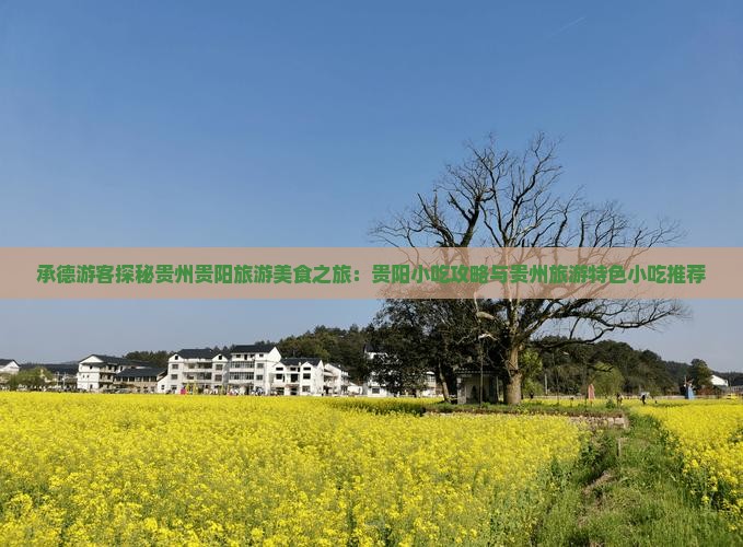 承德游客探秘贵州贵阳旅游美食之旅：贵阳小吃攻略与贵州旅游特色小吃推荐