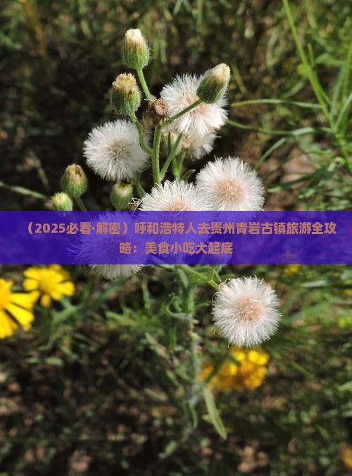 呼和浩特到贵州青岩古镇旅游小吃