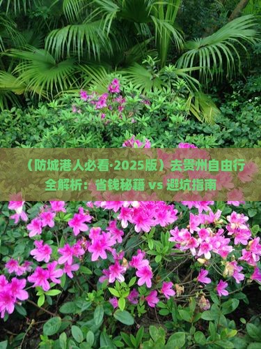 防城港去贵州自由行