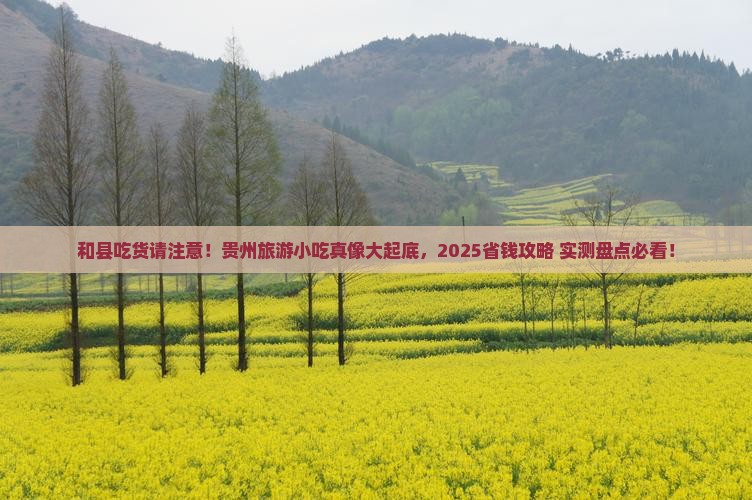 和县到贵州旅游小吃