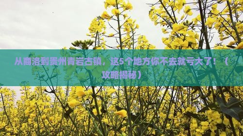 商洛到贵州青岩古镇必去地