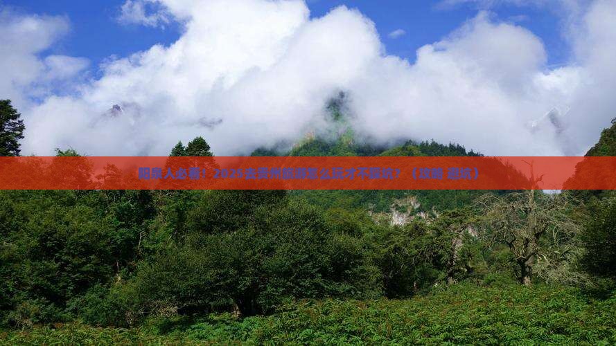 阳泉去贵州旅游