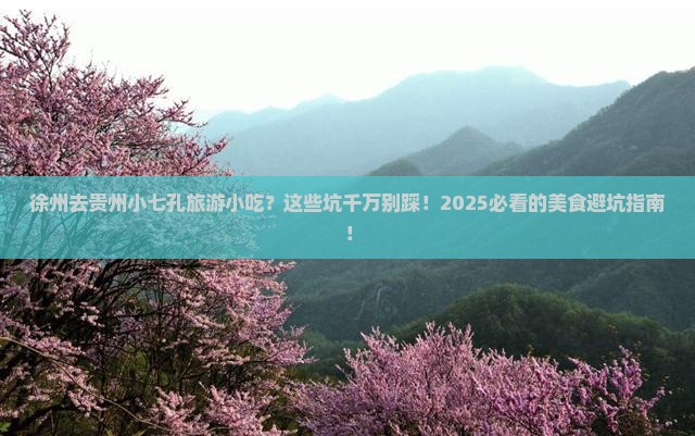 徐州去贵州小七孔旅游小吃