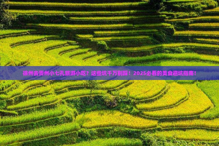 徐州去贵州小七孔旅游小吃