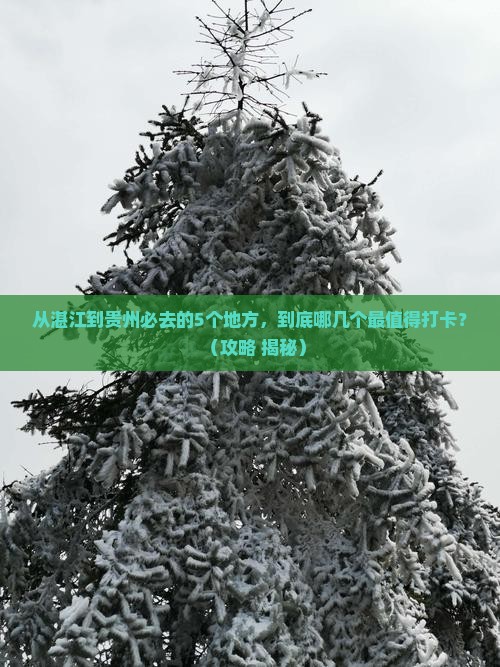 湛江去贵州必去地