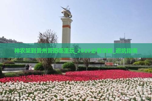 神农架到贵州贵阳哪里玩