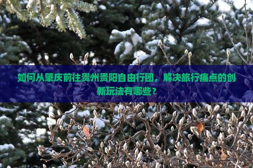 如何从肇庆前往贵州贵阳自由行团，解决旅行痛点的创新玩法有哪些？