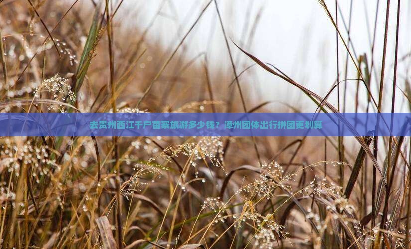 去贵州西江千户苗寨旅游多少钱？漳州团体出行拼团更划算
