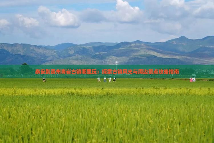 泰安到贵州青岩古镇哪里玩：探索古镇风光与周边景点攻略指南