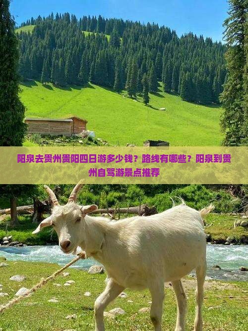 阳泉去贵州贵阳四日游多少钱？路线有哪些？阳泉到贵州自驾游景点推荐