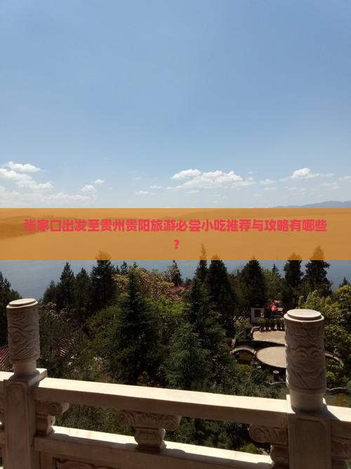 张家口出发至贵州贵阳旅游必尝小吃推荐与攻略有哪些？