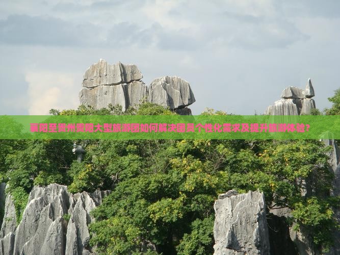 襄阳至贵州贵阳大型旅游团如何解决团员个性化需求及提升旅游体验？