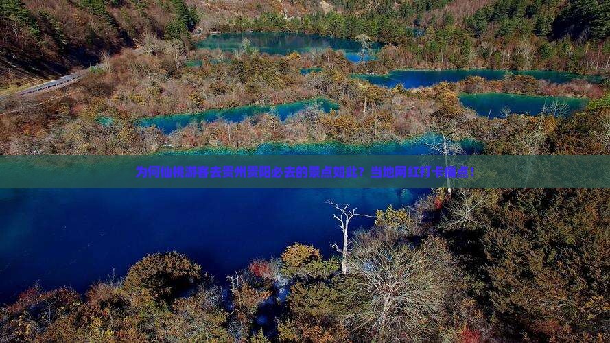 为何仙桃游客去贵州贵阳必去的景点如此？当地网红打卡痛点！