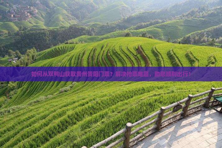 如何从双鸭山获取贵州贵阳门票？解决抢票难题，助您顺利出行！