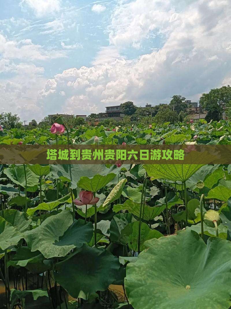 塔城到贵州贵阳六日游攻略