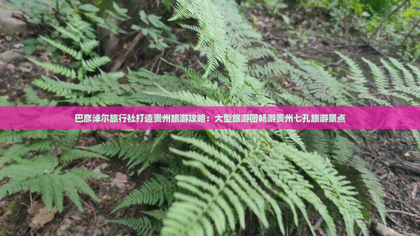 巴彦淖尔旅行社打造贵州旅游攻略：大型旅游团畅游贵州七孔旅游景点