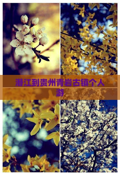 潜江到贵州青岩古镇个人游